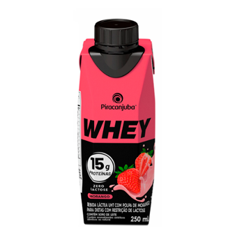 BEB LACTEA WHEY ZERO LAC MOR 250ML PIR